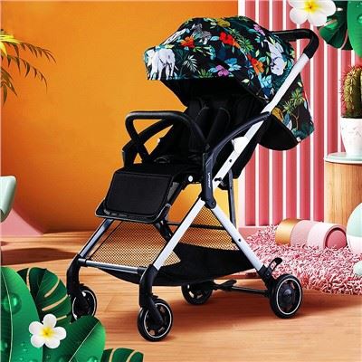 Baby Stroller Travel System